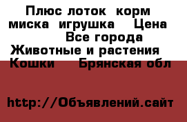 Плюс лоток, корм, миска, игрушка. › Цена ­ 50 - Все города Животные и растения » Кошки   . Брянская обл.